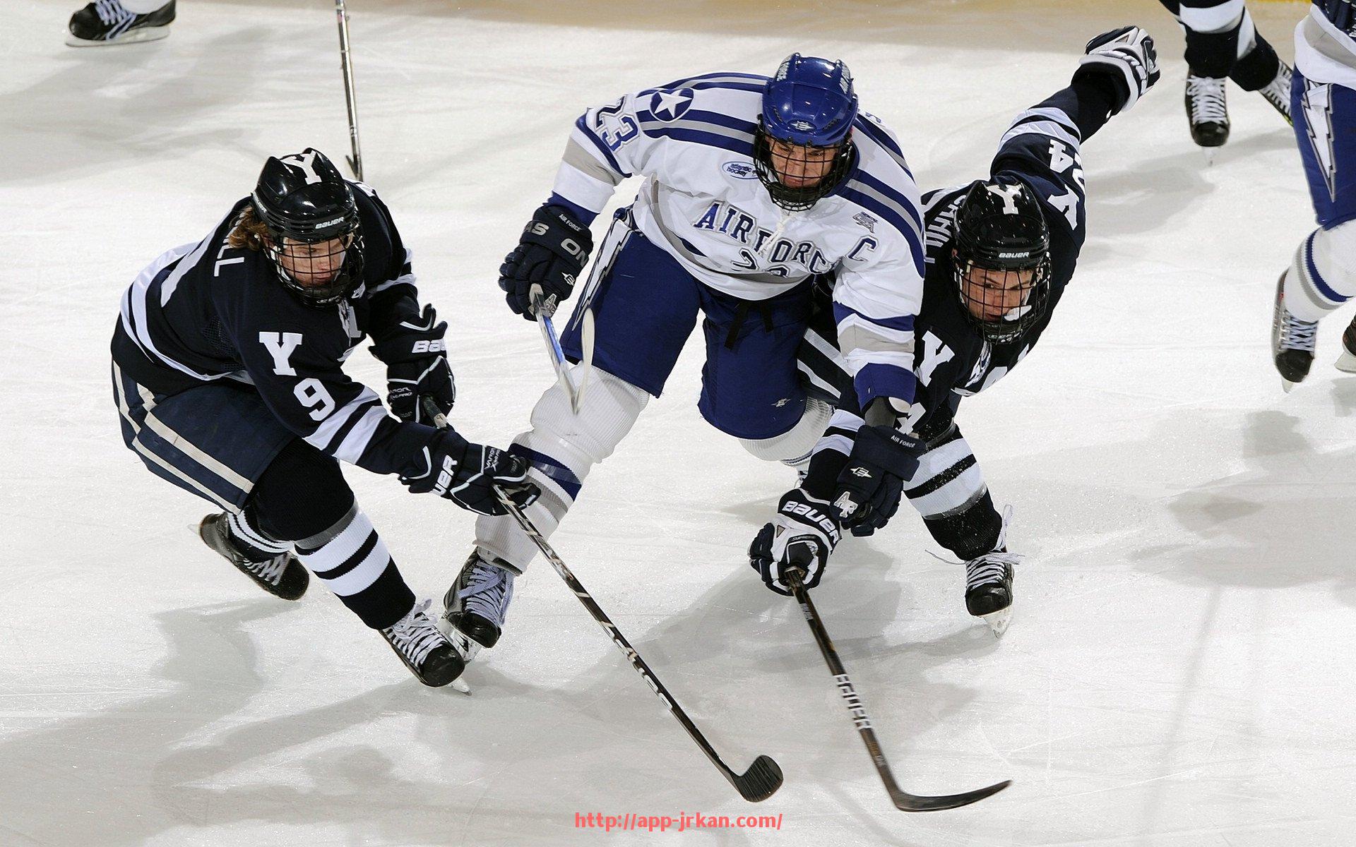 jrkan直播-世俱杯比赛场地如何选择，场馆设施有哪些特点？（世俱杯改造球场进展）